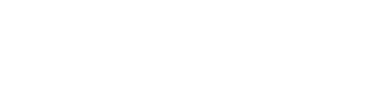 VoxSafe